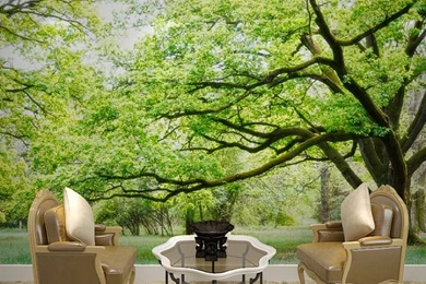 Custom Made Big Tree Photo 3d Wallpapers 3d Wall Murals For Living ...