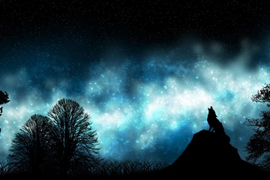 Good Clean Furry Wallpapers   Photography And Video   Furtopia ...