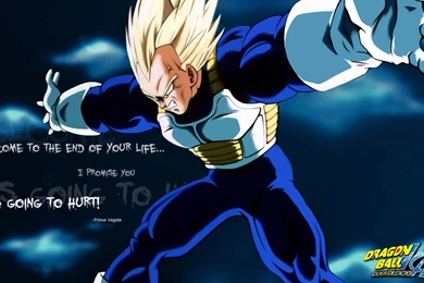Gallery For Dbz Wallpapers Vegeta