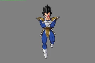 Dragon Ball Vegeta Wallpapers   28604