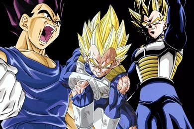 Gallery For Dbz Wallpapers Vegeta