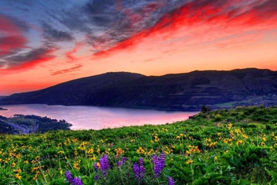 Nature Wallpapers, Hd Landscape Images, Nature Backgrounds, View ...