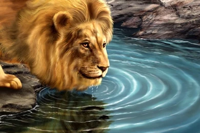 Incredibly Amazing Wallpapers For Your Desktop