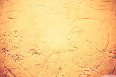 Download The Field Museum Of Natural History Chicago Wallpapers ...