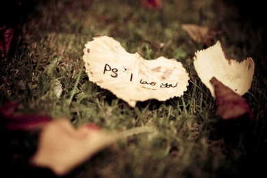 PS I Love You By Thesashabell On DeviantArt