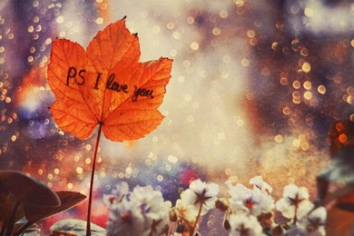 P.S. I Love You By INeedChemicalX On DeviantArt