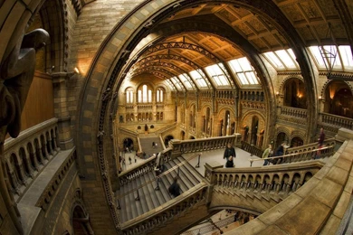 History Wallpapers 38 High Resolution Wallpapers   XDwallpaper.com