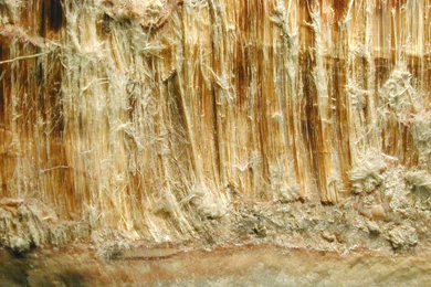 Asbestos Civil Suit Requirements And Asbesos Exposure Laywers