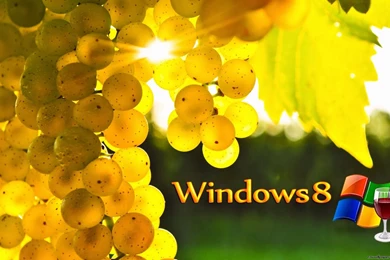 Ultimate Windows 8 Professional