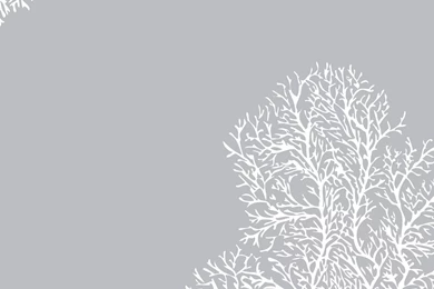 Designer Wallpapers \\ Cavern