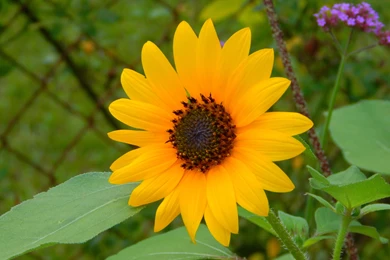 Hd Wallpapers, Widescreen Images, Free Download Images, Sky ...