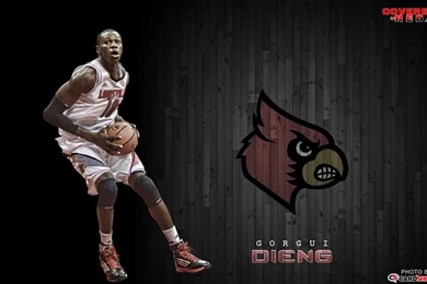 2012 2013 Louisville Cardinal Basketball Wallpapers (Most Players ...