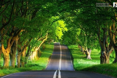 Beautiful Summer Scenery   Photo 38 Of 413