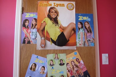 My Room Door!   Zoey 101 Photo (954554)   Fanpop