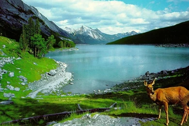 Wallpapers: Nature Wallpapers For Desktop