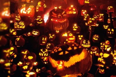 Fall Pumpkin Wallpapers Hd