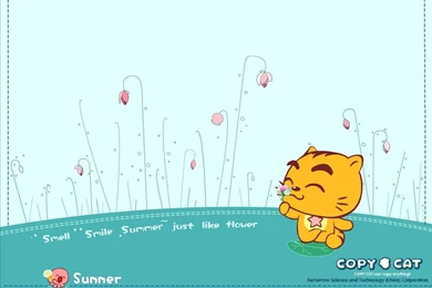 Copy Cat Wallpapers   HD Wallpapers 74081