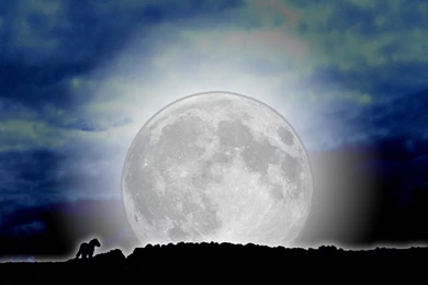 Moonscape By The black wolf co uk On DeviantArt