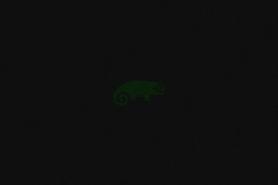 SuSE 9.2 Wallpapers   Annie2266 By Acpiek On DeviantArt
