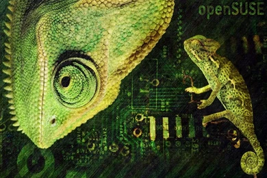 Browsing Wallpapers On DeviantArt