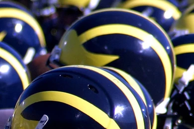 Michigan Wolverines   Lessons   TES