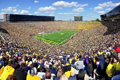University Of Michigan The Big House   AboutHouse