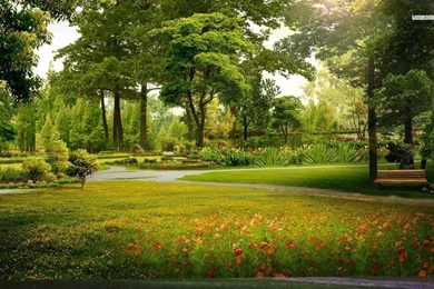 Morning In The Park Wallpapers