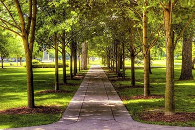 Walk In The Park Wallpapers   World Wallpapers