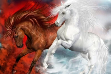 Download Beautiful Horses Wallpapers 1024x768