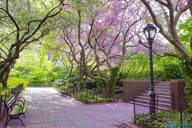 Central Park Wallpapers   Wallpapers Cave