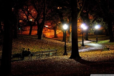 Park At Night HD Desktop Wallpapers : High Definition : Fullscreen ...