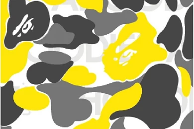 A Bathing Ape B1B013