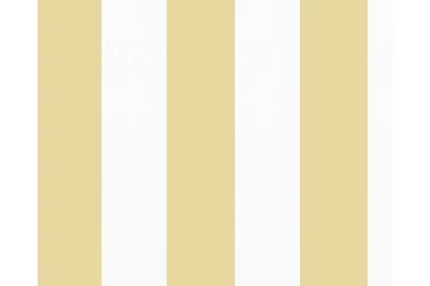 Eyebrow Champagne Gold Stripe 1091505