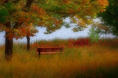 Park, Autumn, 1920x1080 HD Wallpapers And FREE Stock Photo