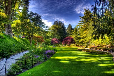 SPRING PARK WALLPAPER   (