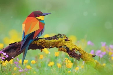 2D Low Poly Bird Art Wallpapers
