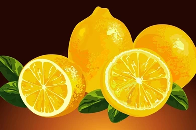 Desktop Wallpapers · Gallery · HD Notebook · Lemons 2D Notebook ...