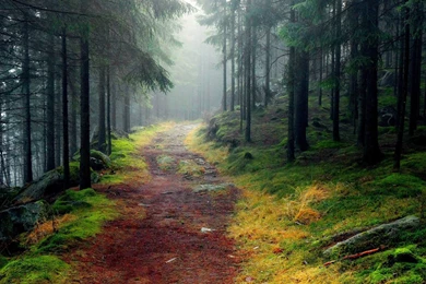 MEGADETH SYMPHONY OF DESTRUCTION MP3 DOWNLOAD