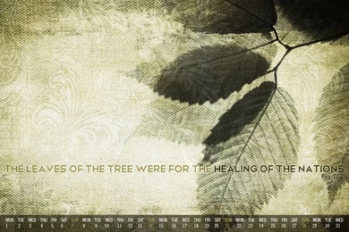 1366x768 calendar.jpg