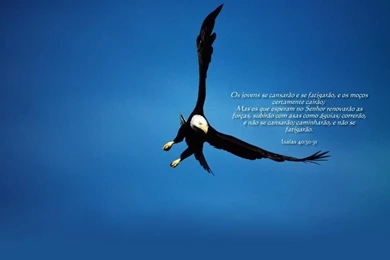 Pic New Posts: B Coalition Wallpapers