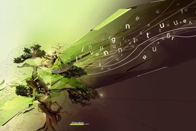 Live Nature Wallpapers   Wallpapers HD Fine