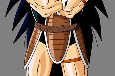 Raditz By Raykugen On DeviantArt