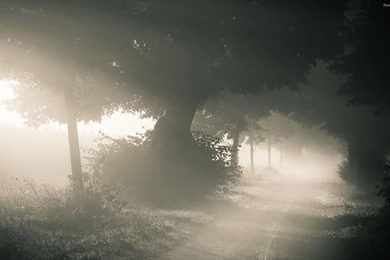 Stock Photos Green Landscape Photography Green Landscape 2014 Hd