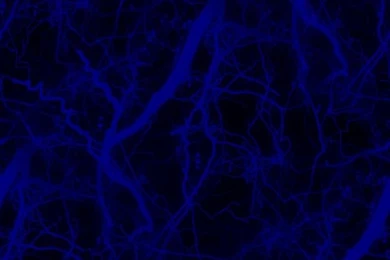 Vampire Backgrounds: Spooky Trees