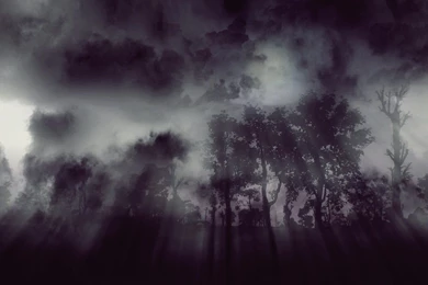 Spooky Fog In The Forest By Septle2 On DeviantArt