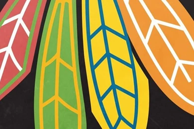 Chicago Blackhawks Hockey Hockey Sports Ice Blackhawks NHL Chicago ...