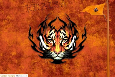 Download Wallpapers PC