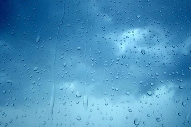 Silly Wallpapers Question