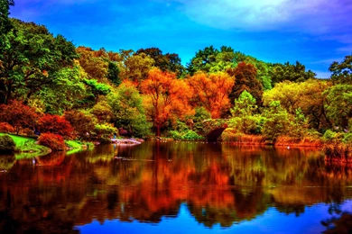 Hd Nature Images, Organic, Fresh Air, Widescreen Wallpapers ...