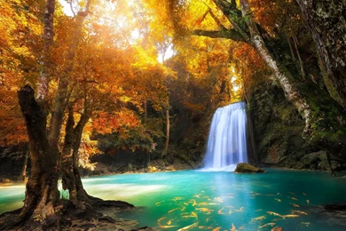 Hd Nature Wallpapers, Download Hd Images, Nature Of Wallpapers ...